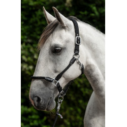 Licol Carlotta HKM Noir