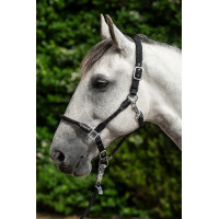 Licol Carlotta HKM Taupe Marron