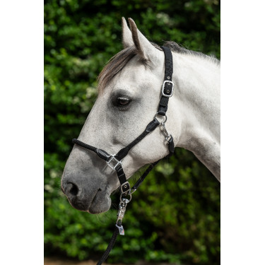 Licol Carlotta HKM Noir