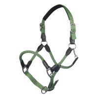 Licol Carlotta HKM Jade