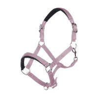 Licol Catherine HKM Mauve