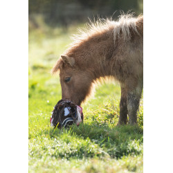 Star set Cuddle Pony HKM Rose étoiles