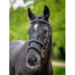 Bridon double muserolle LeMieux Kudos Noir / argent Bridon double muserolle LeMieux Kudos Noir / argent