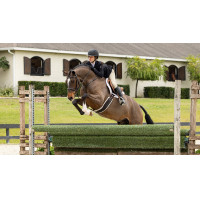 Tapis de Hunter LeMieux Merino+ Blanc / blanc Tapis de Hunter LeMieux Merino+ Blanc / blanc