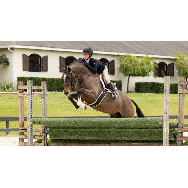 Tapis de Hunter LeMieux Merino+ Tapis de Hunter LeMieux Merino+
