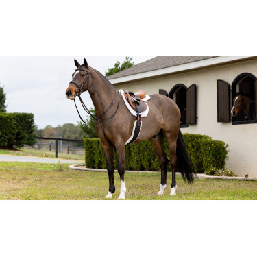 Tapis de Hunter LeMieux Merino+ Tapis de Hunter LeMieux Merino+