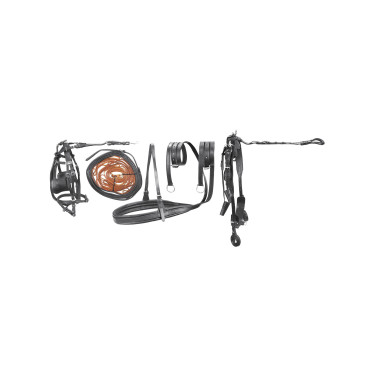 Harnais de Conduite Supérieur en Cuir pour Umbria Equitazione Harnais de Conduite Supérieur en Cuir pour Umbria Equitazione