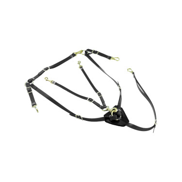 Collier de chasse en Biothane avec Martingale Lakota Collier de chasse en Biothane avec Martingale Lakota