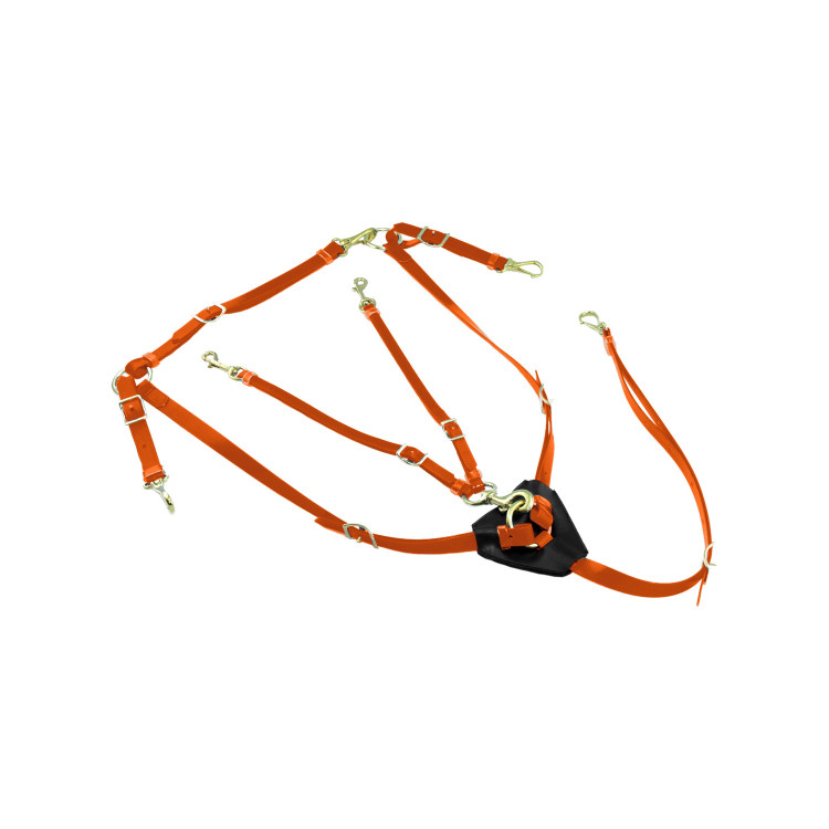 Collier de chasse en Biothane avec Martingale Lakota