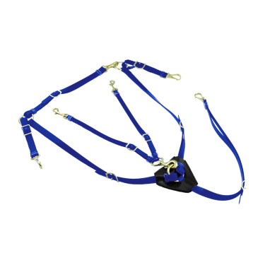 Collier de chasse en Biothane avec Martingale Lakota Bleu royal