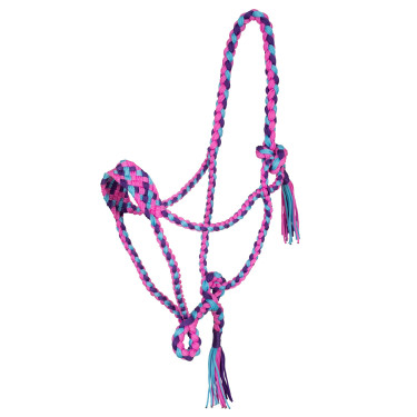 Licol en Nylon Tressé Pool's Rose / bleu ciel / violet Multi-couleurs