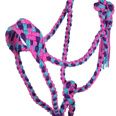 Licol en Nylon Tressé Pool's Rose / bleu ciel / violet Multi-couleurs