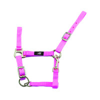 Licol Poulain Réglable avec Mousqueton Supreme Rose