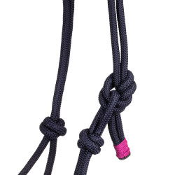 Licol avec Corde Tressée sur le Nez Pool's Marine / fuchsia Bleu