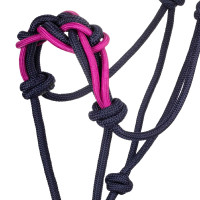 Licol avec Corde Tressée sur le Nez Pool's Marine / fuchsia Bleu Licol avec Corde Tressée sur le Nez Pool's Marine / fuchsia Bleu