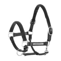 Licol en Cuir Doublé avec Boucles en Laiton Umbria Equitazione Noir