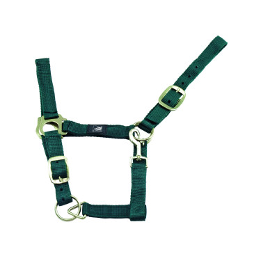 Licol en Nylon Double Couche avec Double Réglage Supreme Vert chasseur