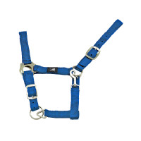 Licol en Nylon Double Couche avec Double Réglage Supreme Bleu royal Licol en Nylon Double Couche avec Double Réglage Supreme Bleu royal