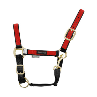 Licol en Nylon avec Parties Colorées Umbria Equitazione Licol en Nylon avec Parties Colorées Umbria Equitazione
