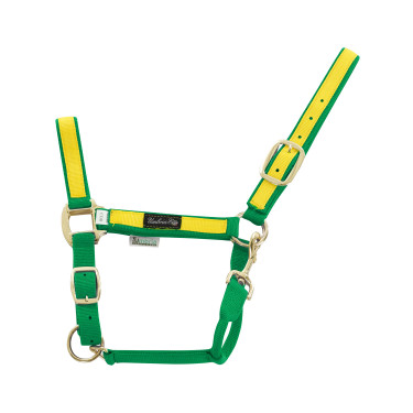 Licol en Nylon avec Parties Colorées Umbria Equitazione Licol en Nylon avec Parties Colorées Umbria Equitazione