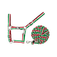 Licol en Nylon Tricolore avec Longe Supreme Vert / blanc / rouge