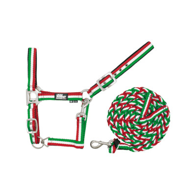 Licol en Nylon Tricolore avec Longe Supreme Vert / blanc / rouge
