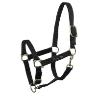 Licol en Nylon avec Renfort en Cuir Umbria Equitazione Noir