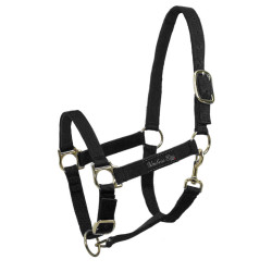 Licol en Nylon avec Renfort en Cuir Umbria Equitazione