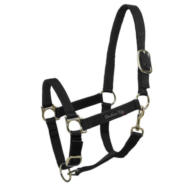 Licol en Nylon avec Renfort en Cuir Umbria Equitazione Licol en Nylon avec Renfort en Cuir Umbria Equitazione