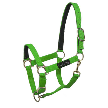 Licol en Nylon avec Renfort en Cuir Umbria Equitazione Citron Jaune Licol en Nylon avec Renfort en Cuir Umbria Equitazione Citron Jaune