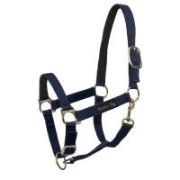 Licol en Nylon avec Renfort en Cuir Umbria Equitazione Marine Bleu marine Licol en Nylon avec Renfort en Cuir Umbria Equitazione Marine Bleu marine