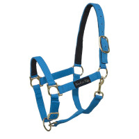Licol en Nylon avec Renfort en Cuir Umbria Equitazione Turquoise