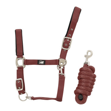 Licol en Nylon avec Renfort en Cuir et Longe Tressée Supreme Bordeaux