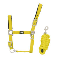 Licol en Nylon avec Renfort en Cuir et Longe Tressée Supreme Jaune