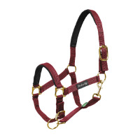 Licol en Nylon avec Renfort en Néoprène Umbria Equitazione Bordeaux Licol en Nylon avec Renfort en Néoprène Umbria Equitazione Bordeaux