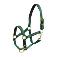 Licol en Nylon avec Renfort en Néoprène Umbria Equitazione Vert Licol en Nylon avec Renfort en Néoprène Umbria Equitazione Vert