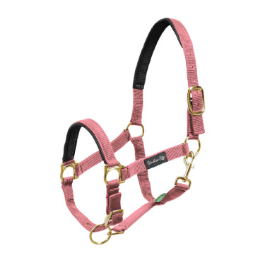 Licol en Nylon avec Renfort en Néoprène Umbria Equitazione Licol en Nylon avec Renfort en Néoprène Umbria Equitazione