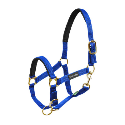 Licol en Nylon avec Renfort en Néoprène Umbria Equitazione Bleu royal
