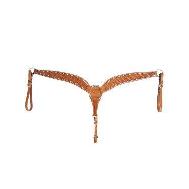 Collier de chasse Basket/Spots Pool's Collier de chasse Basket/Spots Pool's