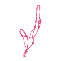 Licol éthologiques en Corde Nouée Pool's Rose