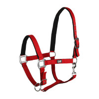 Licol en Nylon Supreme avec Rembourrage Doux, Muserolle et Passant Supérieur Rouge