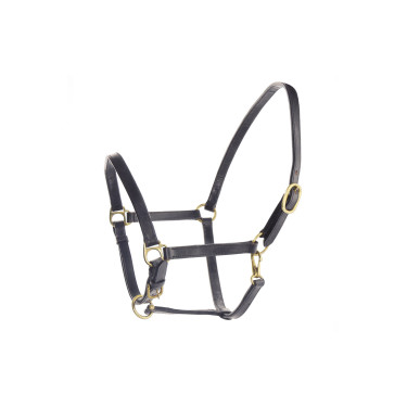 Licol en Cuir Suédois Umbria Equitazione Licol en Cuir Suédois Umbria Equitazione