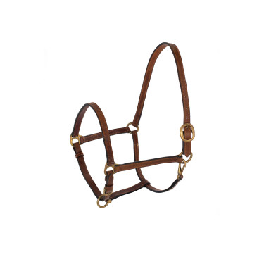 Licol en Cuir Suédois Umbria Equitazione Licol en Cuir Suédois Umbria Equitazione
