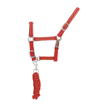 Licol Synthétique avec Longe Reflective Supreme Licol Synthétique avec Longe Reflective Supreme