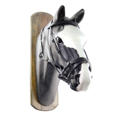 Bridon Sans Mors Horse Ball avec Rênes Umbria Equitazione Bridon Sans Mors Horse Ball avec Rênes Umbria Equitazione