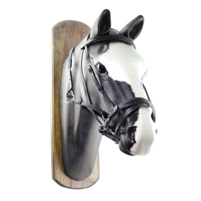 Bridon Sans Mors Horse Ball avec Rênes Umbria Equitazione Noir