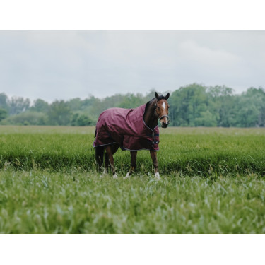 Couverture Equithème TYREX 1200D High Neck Couverture Equithème TYREX 1200D High Neck