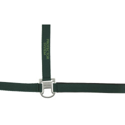 Licol nylon Equithème Protector