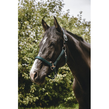 Licol nylon Equithème Protector Licol nylon Equithème Protector