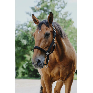 Licol nylon Equithème Protector Licol nylon Equithème Protector